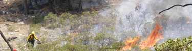 Firing operations on a prescribed fire